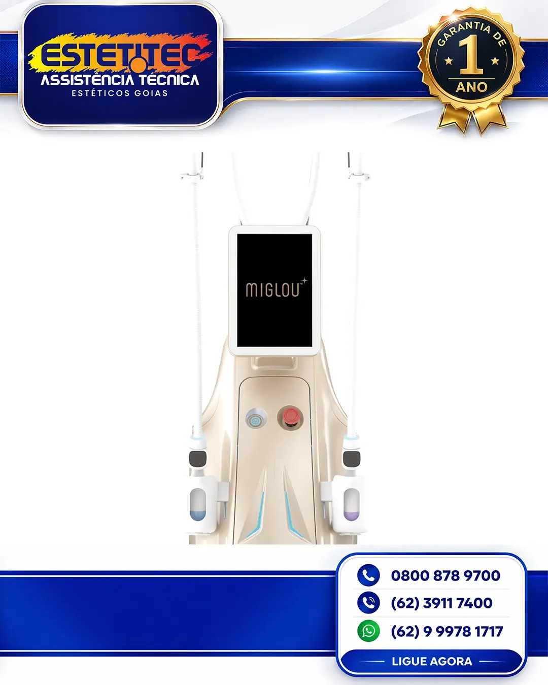 ESPECIALIZADA HIRONIC MIGLOU MATO GROSSO DO SUL