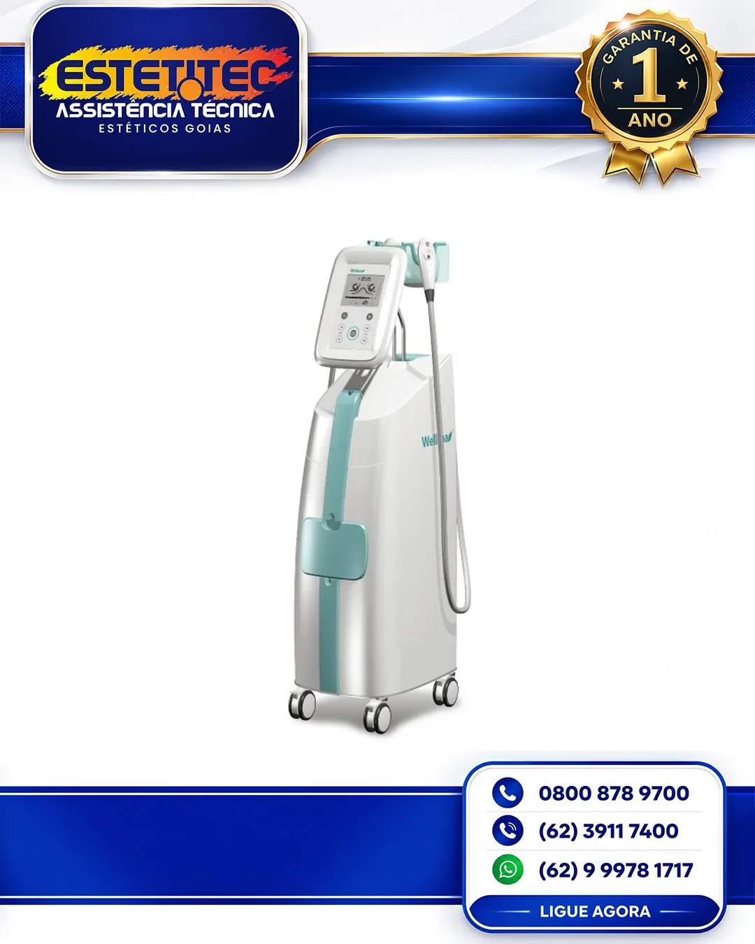 MANUTENÇÃO ESPECIALIZADA EUNSUNG WELLSPA GOIÂNIA
